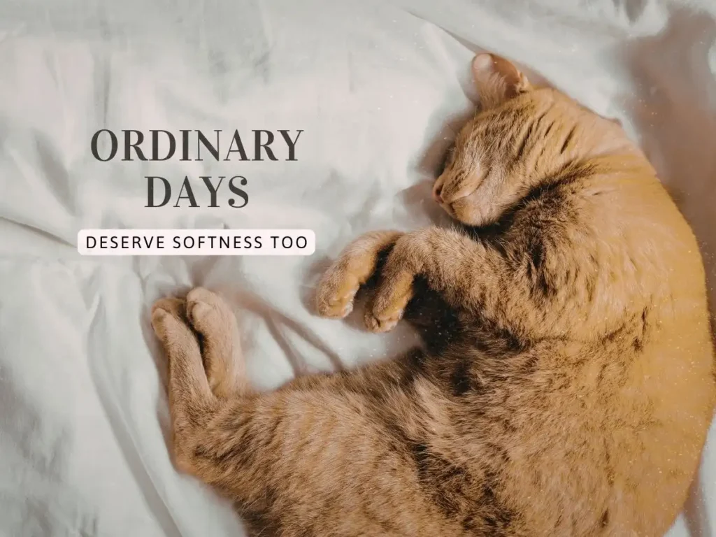 Ginger cat sleeping on white bedding, aesthetic soft life photography for home comfort.